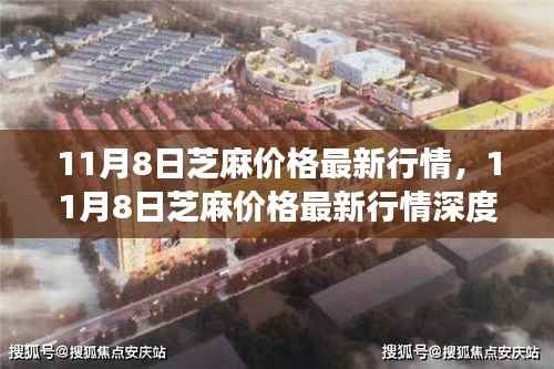 芝麻最新行情解析,多方观点碰撞与个人立场阐述