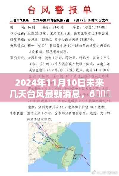 2024年11月10日及未来数日台风动态,最新消息与全面解析