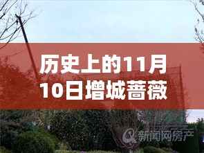 招标采购 第257页