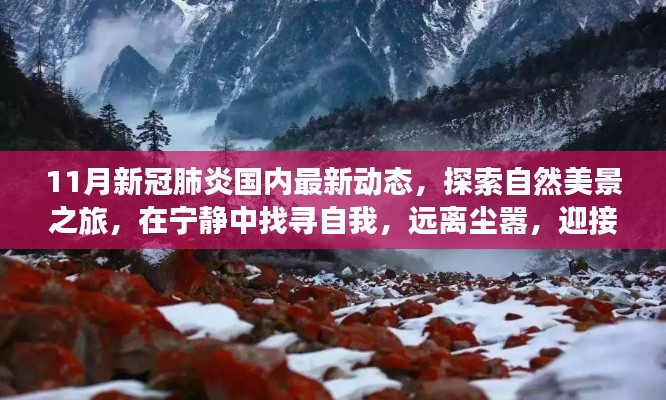 11月新冠肺炎国内最新动态,探索自然美景,宁静中找寻自我,迎接抗疫新篇章的旅行体验
