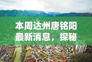 政策法规 第258页