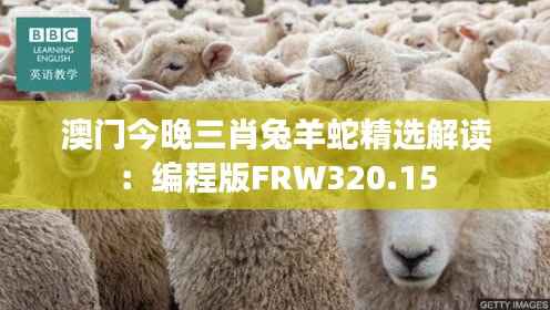 澳门今晚三肖兔羊蛇精选解读:编程版FRW320.15