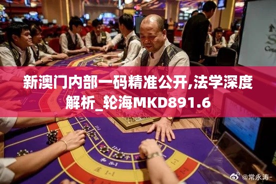 新澳门内部一码精准公开,法学深度解析_轮海MKD891.6