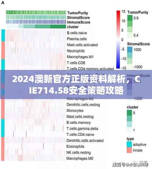2024澳新官方正版资料解析，CIE714.58安全策略攻略
