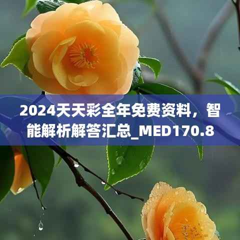 联系我们 第233页