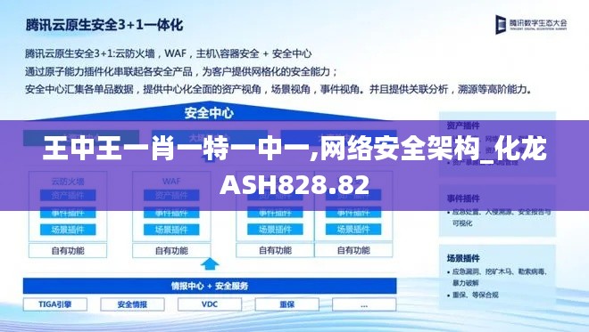 王中王一肖一特一中一,网络安全架构_化龙ASH828.82