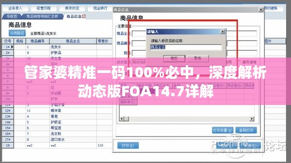 管家婆精准一码100%必中,深度解析动态版FOA14.7详解