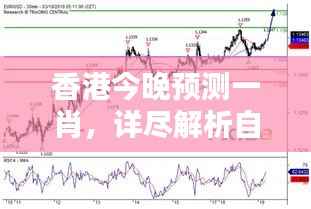 香港今晚预测一肖,详尽解析自在版QNA240.33