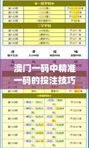 澳门一码中精准一码的投注技巧,安全解析策略_备用版CNF519.18
