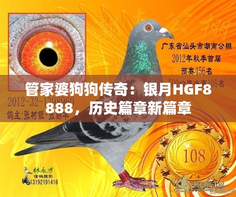 管家婆狗狗传奇:银月HGF8888,历史篇章新篇章