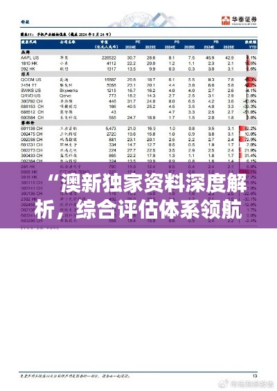 “澳新独家资料深度解析，综合评估体系领航版APY425.32”