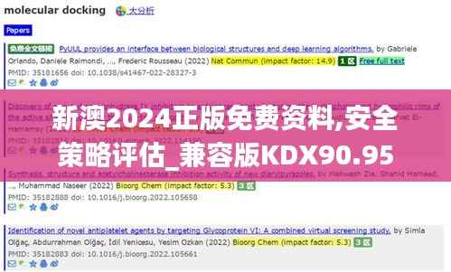 新澳2024正版免费资料,安全策略评估_兼容版KDX90.95