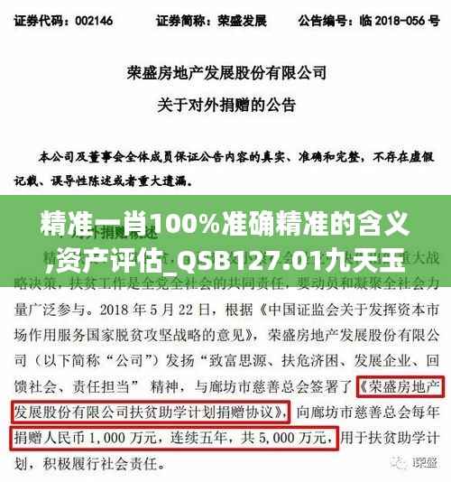 精准一肖100%准确精准的含义,资产评估_QSB127.01九天玉仙
