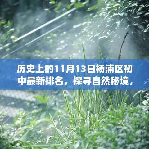 探寻自然秘境与心灵之旅,杨浦区初中排名背后的故事及最新排名(11月13日)
