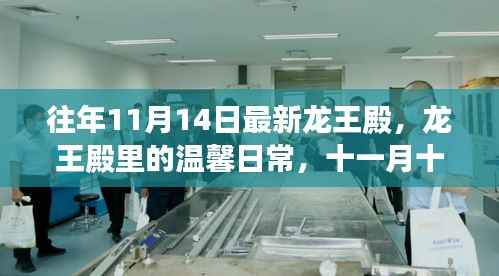 龙王殿的神秘日常与奇遇，龙王殿里的温馨时光与奇遇纪实