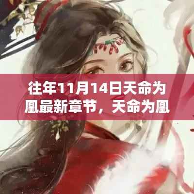 天命为凰,十一月十四日的日常与温馨篇章