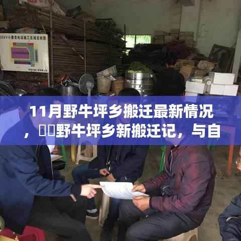 野牛坪乡搬迁最新动态,与自然共舞的新生活启程