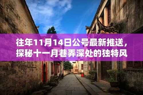 揭秘十一月巷弄深处的隐藏特色小店，独特风味揭晓日