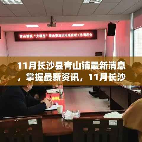长沙县青山铺最新资讯与动态指南,掌握十一月最新消息