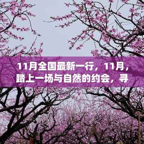 11月踏自然之旅，内心的桃花源探寻记