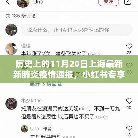 历史上的11月20日上海新冠肺炎疫情通报纪实,小红书专享疫情更新