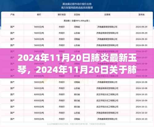 关于肺炎的最新玉琴观点论述(2024年11月20日更新)