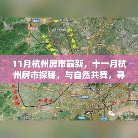 十一月杭州房市最新动态,与自然共舞,探寻内心宁静的居所