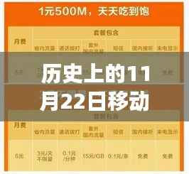 公司概况 第185页