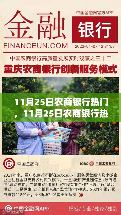 11月25日农商银行热点聚焦,金融新动态与服务升级全面解析