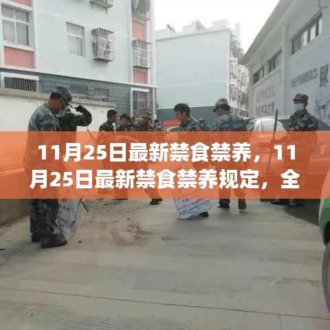 全面解读及影响分析,最新禁食禁养规定出台,时间聚焦至11月25日