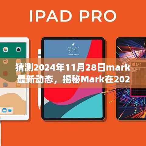 揭秘Mark在2024年11月28日的最新动态,深度解读成长与变迁之路
