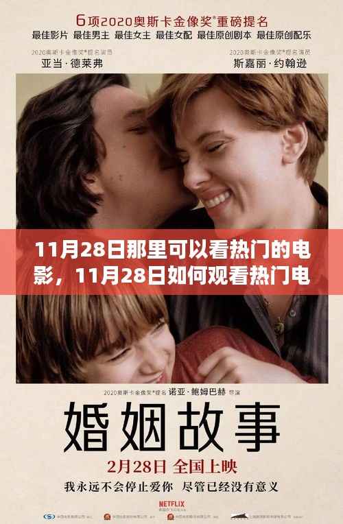 11月28日观看热门电影全攻略，观影地点与步骤指南
