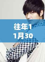 往年11月30日李民浩热门电视剧,深度评测与详细介绍