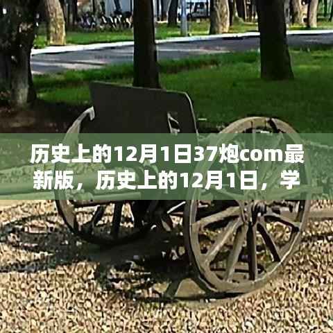 历史上的12月1日,体验最新版37炮软件的详细安装与体验指南
