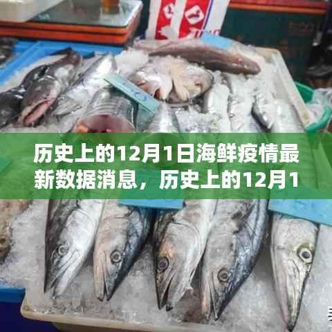 全球海鲜疫情最新数据消息及产业现状分析,聚焦历史上的12月1日动态更新