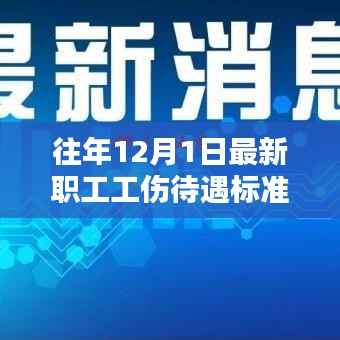 往年12月1日职工工伤待遇标准详解及解析