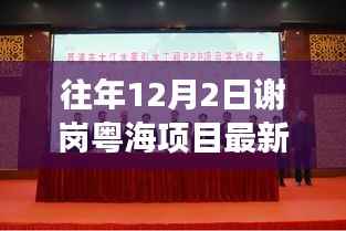 谢岗粤海项目历年深度解读与最新进展报道,历年12月2日最新报道汇总分析