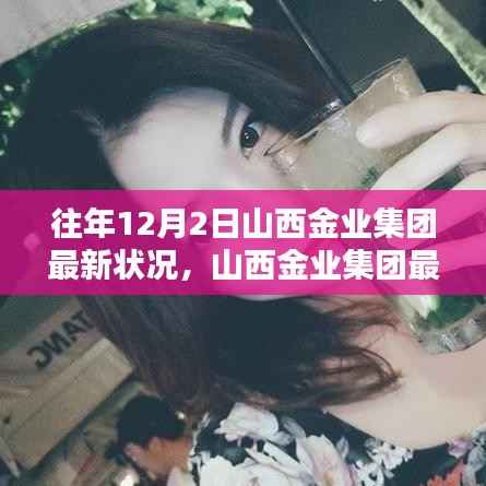 山西金业集团最新深度评测与介绍,历年发展概况及现状分析