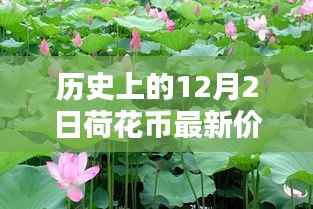 小红书带你穿越金融时光,历史上的荷花币最新价格表(12月2日版)
