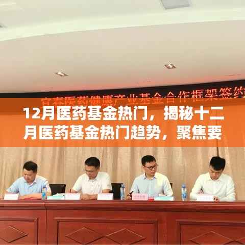 揭秘十二月医药基金的热门趋势,要点、前景与机遇分析