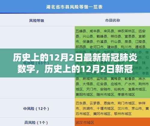 全球战疫态势揭秘,历史上的12月2日新冠肺炎数字最新数据报告