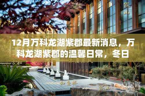 万科龙湖紫郡冬季惊喜,温馨日常与最新消息揭秘