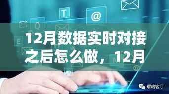 12月数据实时对接后的策略指南,多方考量与行动步骤