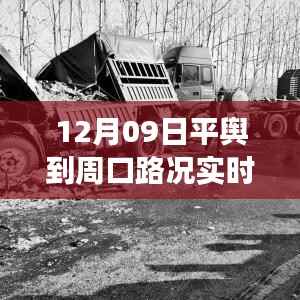 12月09日平舆到周口路况探秘,启程寻找内心平静的自然美景之旅