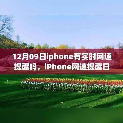 iPhone网速提醒功能解析,启程自然美景之旅探寻内心平和的秘诀