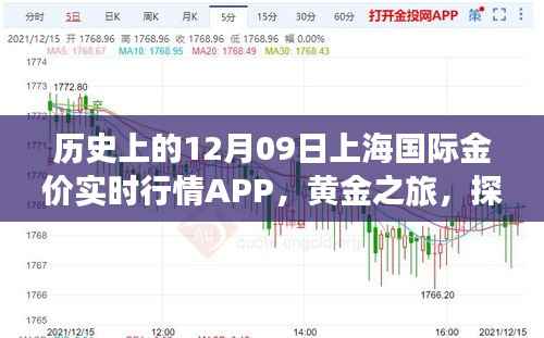 上海国际金价实时行情APP的黄金之旅,历史探索与自然美景的融合体验。