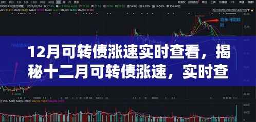 揭秘十二月可转债涨速,实时查看与深度解读报告
