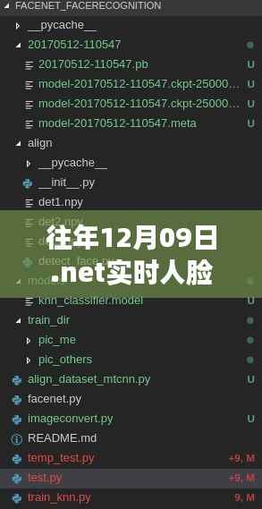.NET实时人脸识别重塑自信与梦想,突破自我,掌握未来