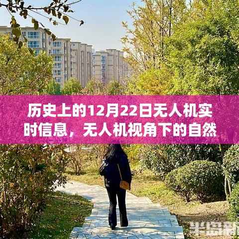 无人机视角下的历史秘境,自然之旅与宁静历史的探索纪实