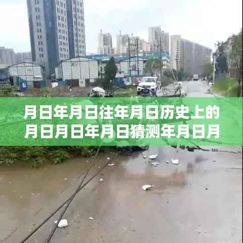 玛丽亚台风深度解析,实时动态与历年历史对比